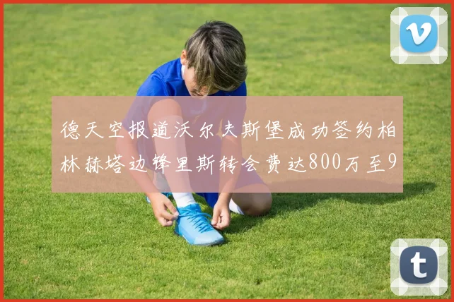 德天空报道沃尔夫斯堡成功签约柏林赫塔边锋里斯转会费达800万至900万欧元